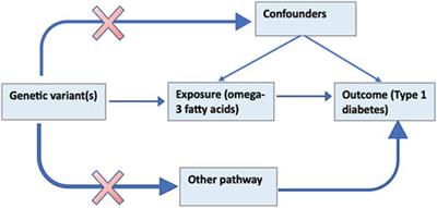 Exploring the causal effect of omega-3 polyunsaturated fatty acid levels on the risk of type 1 diabetes: a Mendelian randomization study